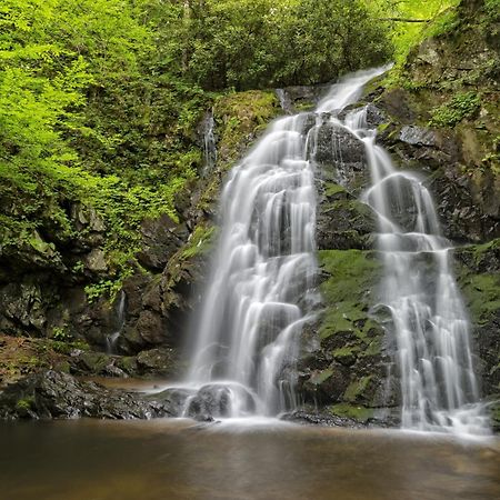 Hidden Memories, Hot Tub, 1089 Of Free Attraction Tickets For Each Paid Day, Dollywood And More Gatlinburg Exteriér fotografie