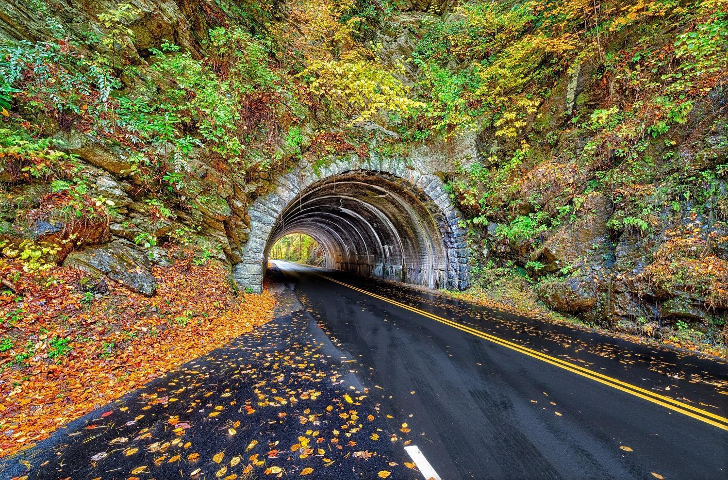 Hidden Memories, Hot Tub, 1089 Of Free Attraction Tickets For Each Paid Day, Dollywood And More Gatlinburg Exteriér fotografie