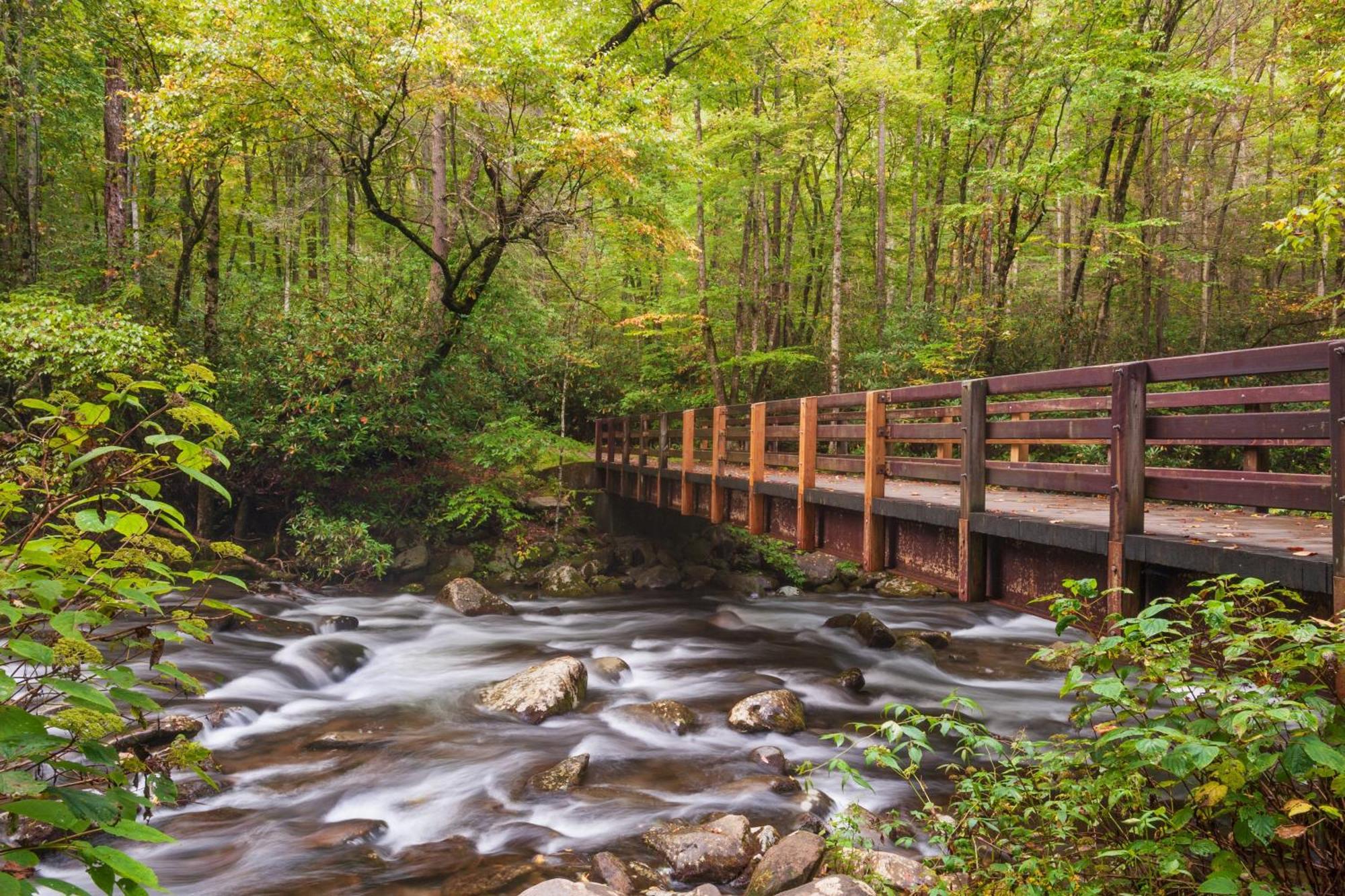 Hidden Memories, Hot Tub, 1089 Of Free Attraction Tickets For Each Paid Day, Dollywood And More Gatlinburg Exteriér fotografie